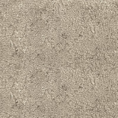 Silver State La Mancha Dove